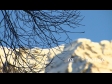 Mountain Tree 3430